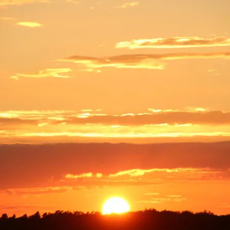 Dornbusch, Penthouse 9 アパート