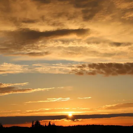 Dornbusch, Penthouse 9 ビンツ